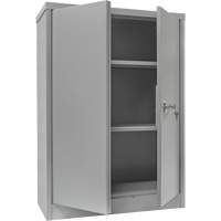 Counter-High Storage Cabinet, Steel, 2 Shelves, 42" H x 48" W x 24" D, Grey Industrial Sales