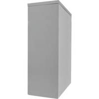 Counter-High Storage Cabinet, Steel, 2 Shelves, 42" H x 48" W x 24" D, Grey Industrial Sales