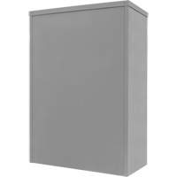 Counter-High Storage Cabinet, Steel, 2 Shelves, 42" H x 48" W x 24" D, Grey Industrial Sales