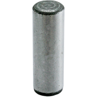 Tenon de guidage, Ordinaire, 1-1/2" lo, 1/4" Dia. Industrial Sales