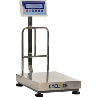 Cyclone 150 Bench and Platform Scale, 300 lbs. / 150 kg Capacity, 15-3/4" L x 19-7/10" W Industrial Sales