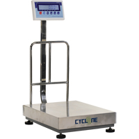 Cyclone 300 Bench and Platform Scale, 600 lbs. / 300 kg Capacity, 17-3/4" L x 23-3/5" W Industrial Sales