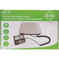 Digital Receiving Scale, 220 lbs. Cap., 1 lbs. Graduations Industrial Sales