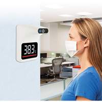 Non Contact Thermometer, Digital Industrial Sales