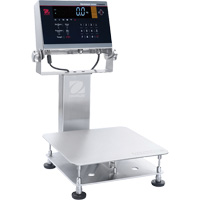Defender 6000 Washdown Bench Scale, 25 lbs. Capacity, 11-4/5" L x 11-4/5" W Industrial Sales