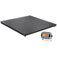 Balances de plancher Defender 3000, Capacit&eacute; de 5000 lb, 4' lo x 4' la Industrial Sales