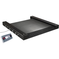 Balance Defender 2500 pour baril, Capacit&eacute; de 500 lb, 2,5' lo x 2,5' la Industrial Sales