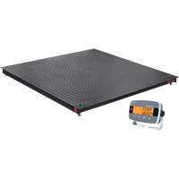 Floor Scales