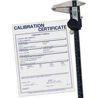Digital Caliper with Traceable Certificate, 0.0005" (0.01 mm) Resolution, 0" - 12" (0 mm - 300 mm) Range Industrial Sales