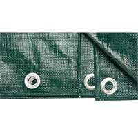 Tarp, Heavy-Duty, Green, 8' x 6' x 9 mils Industrial Sales