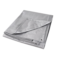 Tarp, Super Heavy-Duty, Silver, 10' x 8' x 12 mils Industrial Sales