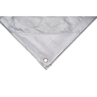 Tarp, Super Heavy-Duty, Silver, 10' x 8' x 12 mils Industrial Sales