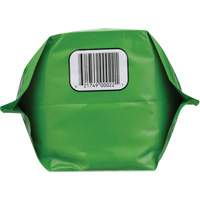 Nettoyant pour les mains biod&eacute;gradable, Poudre, 4,5 lb, Pochette, Sans parfum Industrial Sales