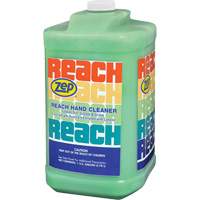 Reach Extra Heavy-Duty Hand Cleaner, Pumice, 3.78 L, Jug, Scented Industrial Sales