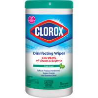 Disinfecting Wipes, 75 Count Industrial Sales