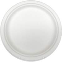 Molded Fiber Disposable Plates Industrial Sales