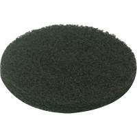 Floor Pad, Scrubbing, Green Industrial Sales