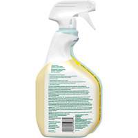 CloroxPro Clorox EcoClean All-Purpose Cleaner, 946 ml, Trigger Bottle Industrial Sales