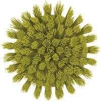 HyDrive Round Drill Brush, Extra Stiff Bristles, 3-1/10" Long, Yellow Industrial Sales