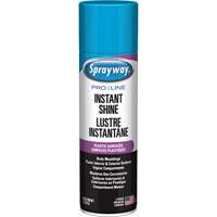 Brillant instantan&eacute; Pro Line pour surfaces en plastique, 11 oz, Canette a&eacute;rosol Industrial Sales