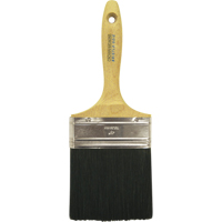 Paint Brushes