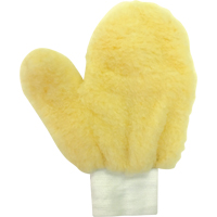 Paint Mitt Industrial Sales