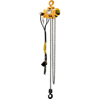Budgit&reg; Air Chain Hoists Industrial Sales