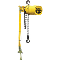Budgit&reg; Series 6000 Air Hoists Industrial Sales
