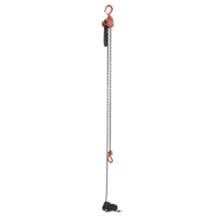 Mini palan &agrave; levier, Lev&eacute;e 15', Cabacit&eacute; 500 lb (0,25 tonne), Chaîne en Acier Industrial Sales