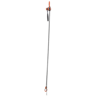 Mini palan &agrave; levier, Lev&eacute;e 10', Cabacit&eacute; 1000 lb (0,5 tonne), Chaîne en Acier Industrial Sales