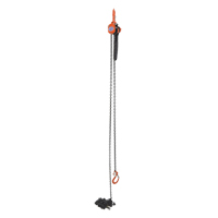 Mini palan &agrave; levier, Lev&eacute;e 15', Cabacit&eacute; 1000 lb (0,5 tonne), Chaîne en Acier Industrial Sales