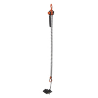 Mini palan &agrave; levier, Lev&eacute;e 15', Cabacit&eacute; 1000 lb (0,5 tonne), Chaîne en Acier Industrial Sales