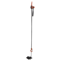 Mini palan &agrave; levier, Lev&eacute;e 20', Cabacit&eacute; 1000 lb (0,5 tonne), Chaîne en Acier Industrial Sales