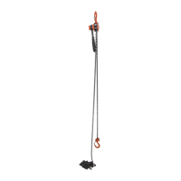 Mini palan &agrave; levier, Lev&eacute;e 20', Cabacit&eacute; 1000 lb (0,5 tonne), Chaîne en Acier Industrial Sales