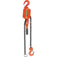 Lever Hoist, 5' Lift, 6000 lbs. (3 tons) Capacity, Alloy Steel Chain Industrial Sales