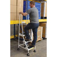 &eacute;chelles Stop-Step, 3 marches, Largeur de la marche 16", Hauteur de la plateforme 28-11/16", Acier Industrial Sales