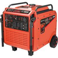 Tri-Fuel Inverter Generator Industrial Sales