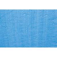 Tarp, Standard Duty, Blue, 7' x 5' x 4 mils Industrial Sales