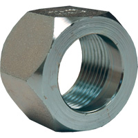 &eacute;crou hexagonal de minage Dixon, 1", Zingu&eacute;, Filetage NPT Industrial Sales