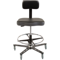 TF160 Industrial Grade Ergonomic Chair, Mobile, Adjustable, 20-1/2" - 28-1/2", Vinyl Seat, Black/Grey Industrial Sales