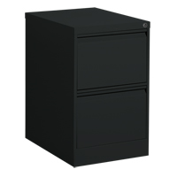 Vertical Filing Cabinet, Steel, 2 Drawers, 18-1/7" W x 25" D x 29" H, Black Industrial Sales