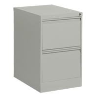 Vertical Filing Cabinet, Steel, 2 Drawers, 18-1/7" W x 25" D x 29" H, Grey Industrial Sales