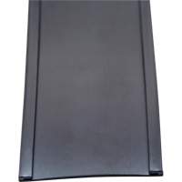 Card Holder, Magnetic, 600" L x 2" W Industrial Sales