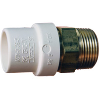 Adaptateur de tuyau filet&eacute;, Noeud x MPT, 1" dia., Laiton/PVC-C Industrial Sales
