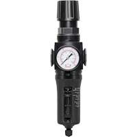 Filtre/r&eacute;gulateur drain manuel avec bol en m&eacute;tal Modulair 300, 1/4" NPT, 250 PSI, Capacit&eacute; de 5,1 oz liq. Industrial Sales