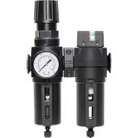 Filtre/d&eacute;tendeur & filtre coalescent Modulair 300 avec bol standard & drain manuel, 3/8" NPTF, 150 psi, Capacit&eacute; de 5,12 oz liq Industrial Sales
