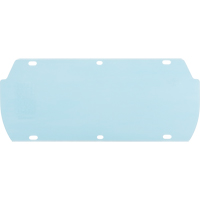 Facetec Polycarbonate Visor, Polycarbonate, Clear Tint Industrial Sales