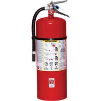 Extincteur d'incendie, ABC, Capacit&eacute; 20 lb Industrial Sales