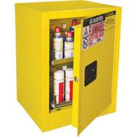 Armoire de s&eacute;curit&eacute; d'&eacute;tabli pour produits inflammables EX Sure-Grip, 24 gal., 1 Porte(s), 21" La x 27" h x 18" p Industrial Sales