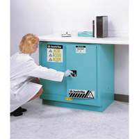 Armoires de s&eacute;curit&eacute; pour acides & produits corrosifs avec doublure ChemCor, 22 gal., 35" x 35" x 22" Industrial Sales